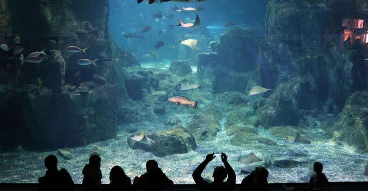 Istanbul: Istanbul Aquarium Ticket & Shuttle Bus From Taksim - Experience Highlights