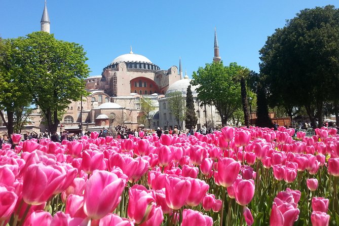 Istanbul Private Tours: 1, 2 or 3 Day Highlights - Pickup and Drop-off Logistics