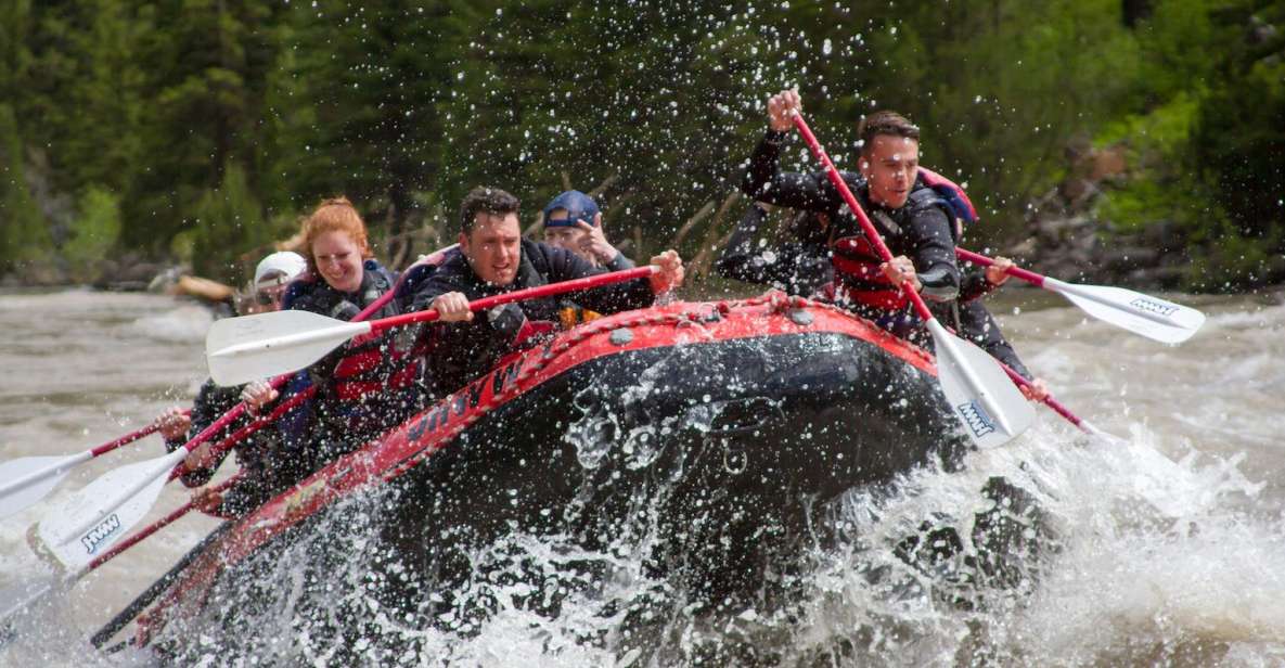 Jackson: Snake River Class 2-3 Whitewater Rafting Adventure - Experience Details