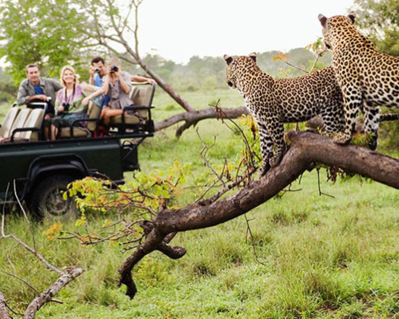 Jaipur: Private Jhalana Leopard Safari Tour - Full Description