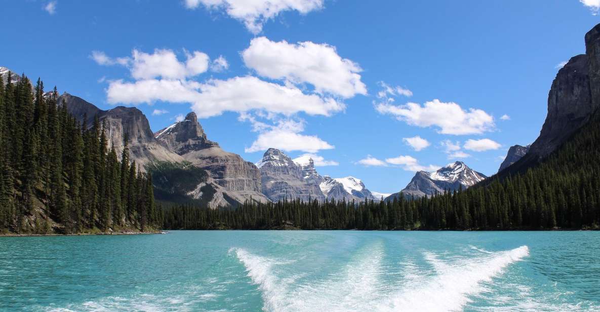 Jasper: Maligne Valley Wildlife Watching & Boat Tour - Experience Highlights