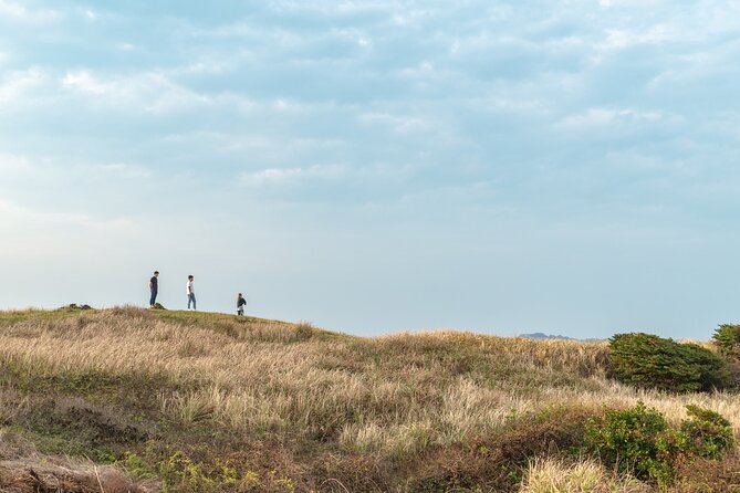 Jeju Island UNESCO Heritage Bus Tour - UNESCO Sites Visited