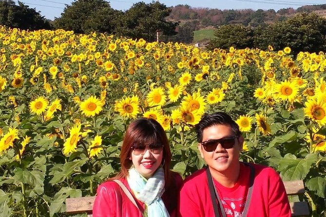 Jeju Private Tour Couple Package to All Area of Jeju Island - Itinerary Overview