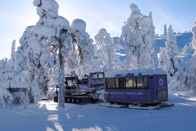 Jewels Of Lapland: Visit to Amethyst Mine in Luosto - Entrance Fees and Ticket Inclusions