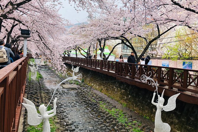Jinhae Cherry Blossom and Busan Sunrise Tour From Seoul - Booking Process