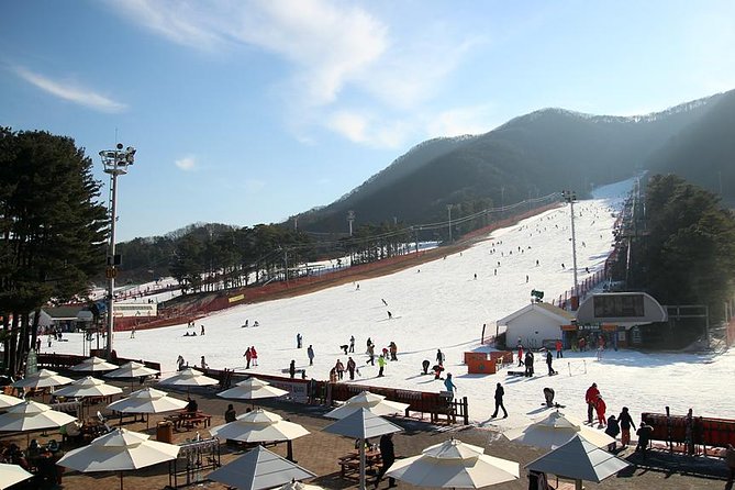 Jisan Ski Resort Serving Breakfast From Seoul (no Shopping)