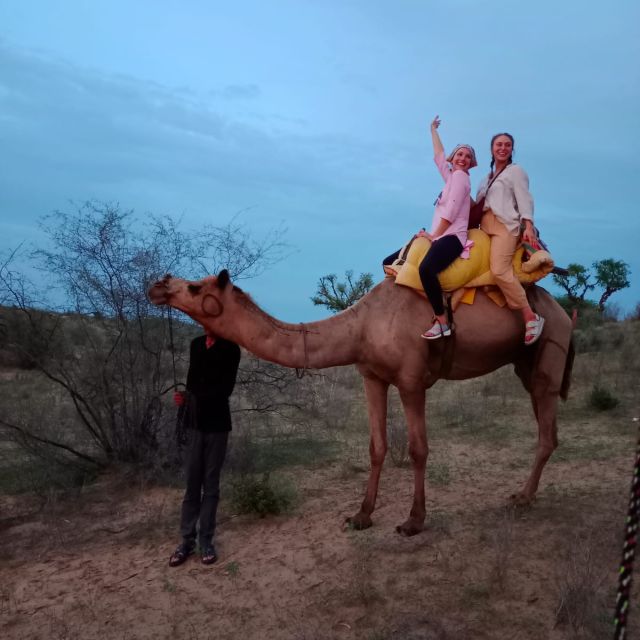 Jodhpur Camel Ride With Rajasthani Folk Dancing With Sumer - Experience Highlights