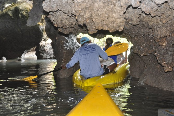 John Grays Sea Canoe Hong by Starlight Tour - Booking Information