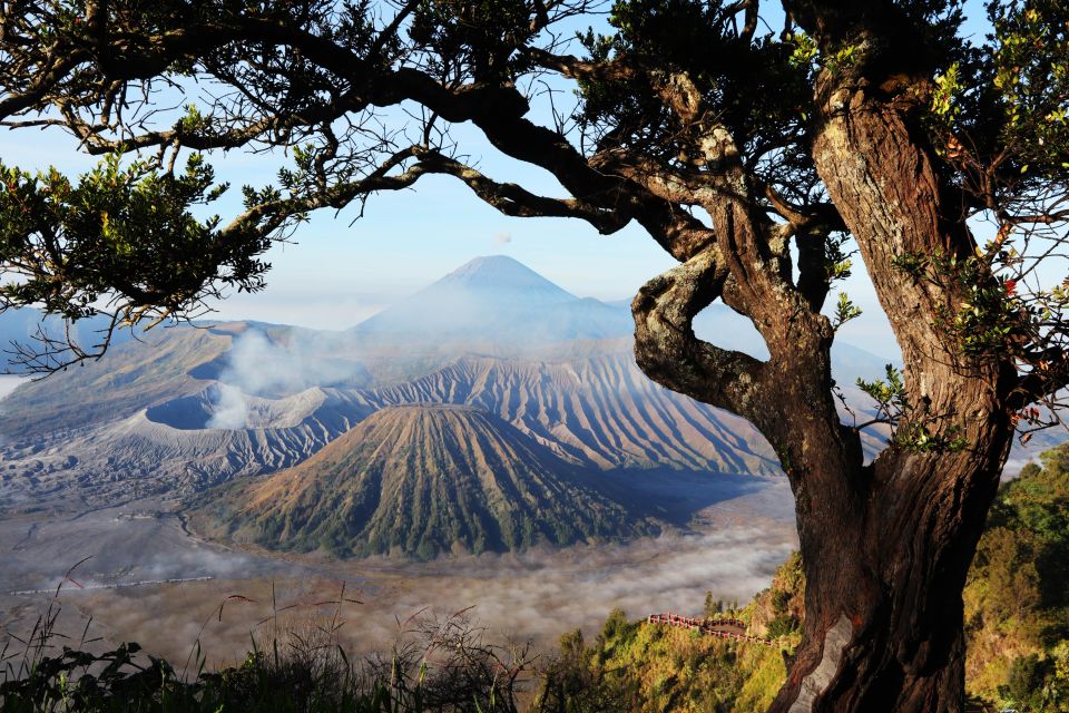 Join in Trip Bromo From Malang - Mount Bromo Visit