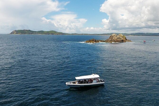 Julian Rocks Byron Bay: Coastal Discovery Cruise - Departure Point