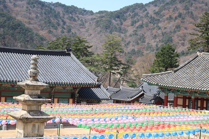 Junam Wetlands and Haeinsa Temple Tour - Itinerary