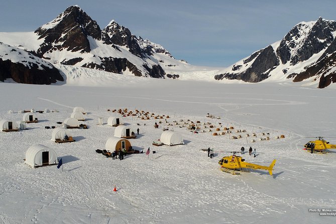 Juneau Shore Excursions: Helicopter Dogsledding Experience and Additional Glacier Landing - Customer Experience