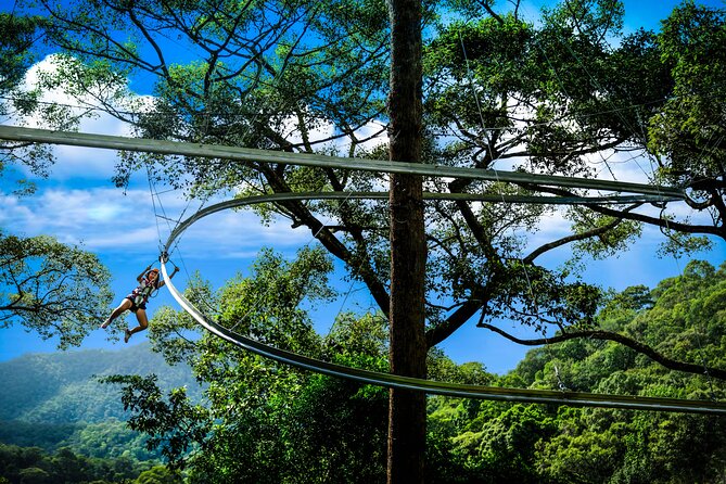 Jungle Flight Zipline Roller Coaster - Cancellation Policy