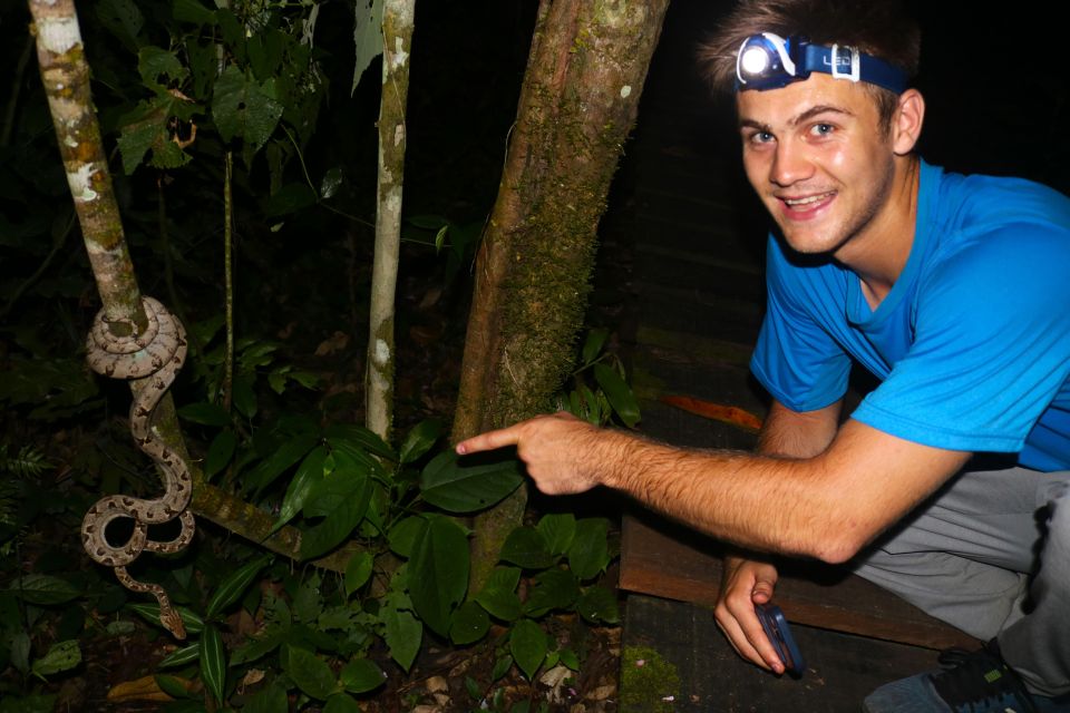 Jungle Night Walk/ Nocturnal Wildlife and Jungle Sounds - Experience and Wildlife Encounters