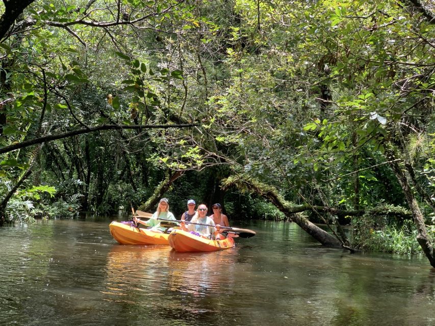 Jupiter: Loxahatchee River Scenic Kayak Tour - Experience Highlights