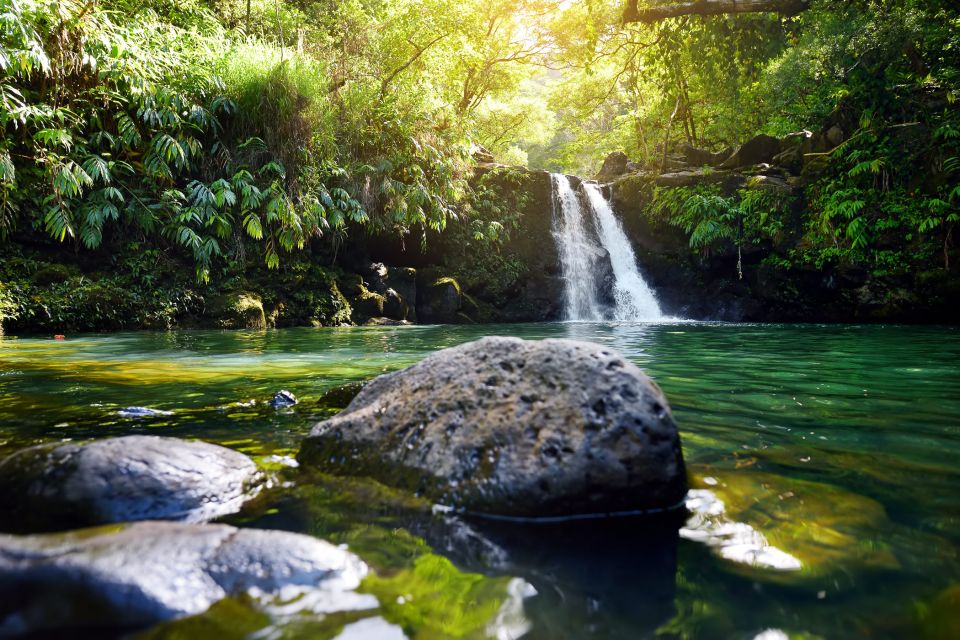 Kahului: Guided Rainforest and Waterfall Walk - Experience Highlights