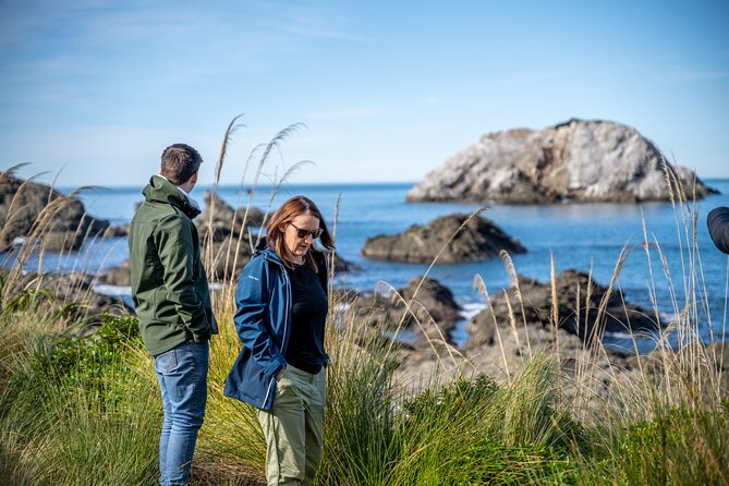 Kaikoura Day Tour With Dolphin Encounter From Christchurch - Departure Details