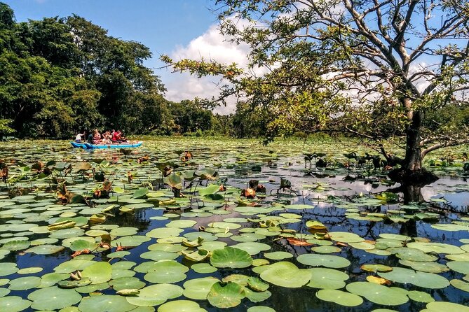 Kandy - Sigiriya Full-Day Private Tour - Inclusions and Exclusions