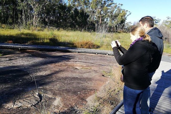 Kangaroo Encounter & Aboriginal Rock Arts Half-Day Trip From Sydney - Kangaroo Encounter Experience