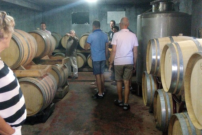 Katakolon Shore Excursion: Private Wine-Tasting Tour of Mercouri Estate Winery - Winery Overview