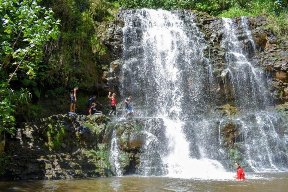 Kauai: Guided Hike and Waterfall Swim - Experience Highlights