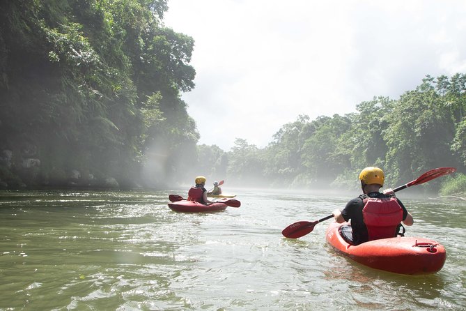 Kayak Jungle Tour - Sarapiqui River - Costa Rica - Wildlife Watching Opportunities