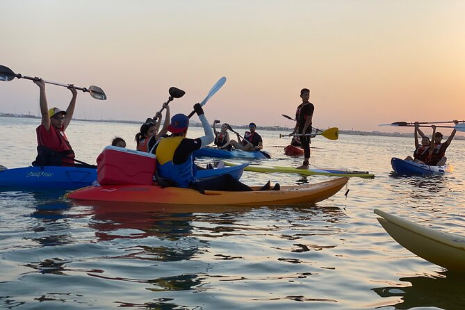 Kayak Through the Mangroves to the Purple Island - Booking Information