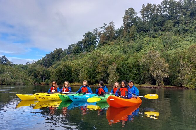 Kayak Through the Sunken Forest of the Maullín River - Kayaking Route Overview