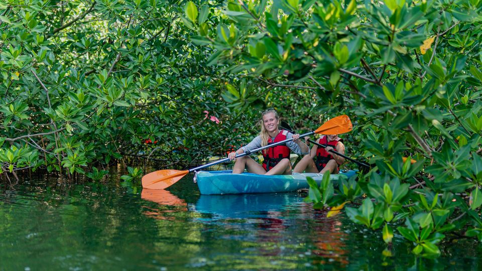 Kayak Tour in Cancun With Photos Included - Experience Itinerary