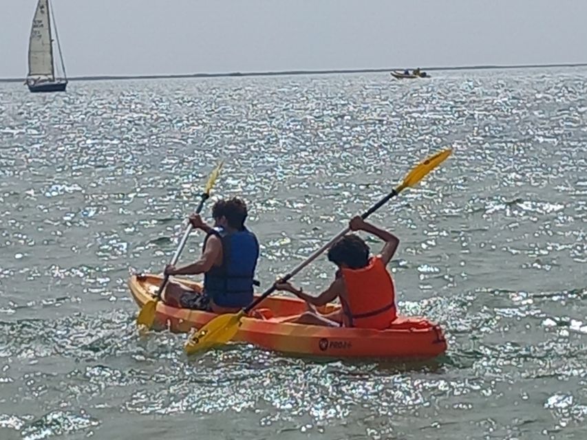 Kayak Tour in Ria Formosa - Olhão - Experience Highlights