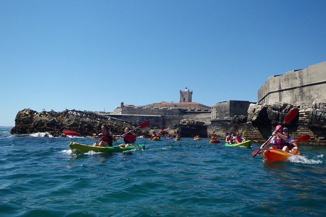 Kayak Tour of Lisbon - Safety and Accessibility Details