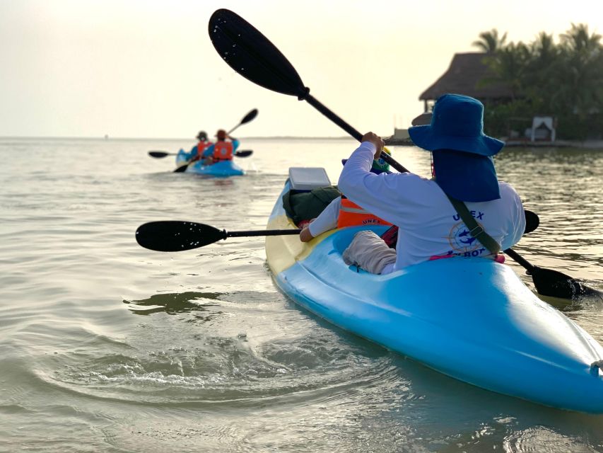 Kayak Tour Through Holbox Mangroves - Activity Duration Details