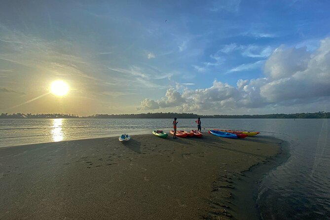 Kayaking in Mangrove Forest of Paravur Backwaters Near Varkala and Kollam - Peaceful Paddling Experience