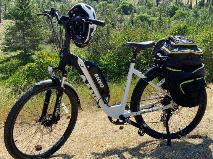 Kelowna: Okanagan Lake Guided E-Bike Tour With Picnic - Tour Highlights