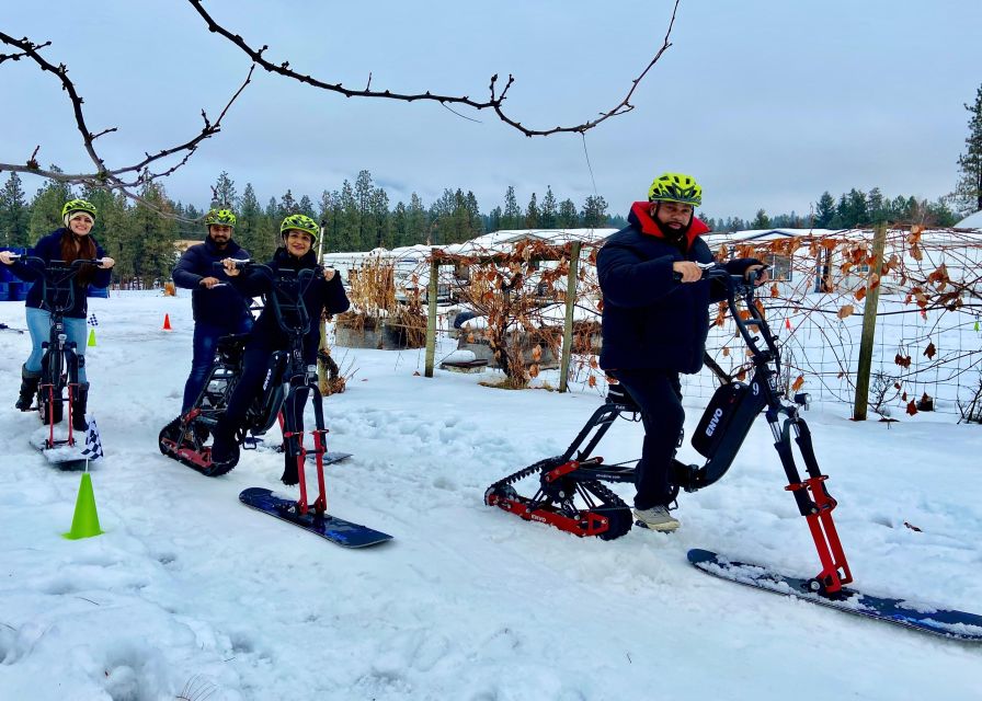 Kelowna: Snow E-Biking With Lunch, Wine Tastings & S'mores - Experience Highlights