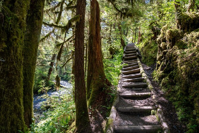 Ketchikan Magical Old-Growth Creek Trek Guided Tour - Important Guidelines