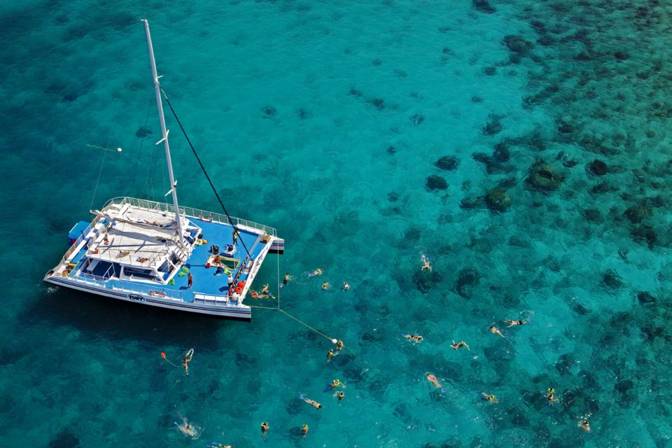 Key West: 3-Hour Snorkeling Adventure - Catamaran Experience Highlights