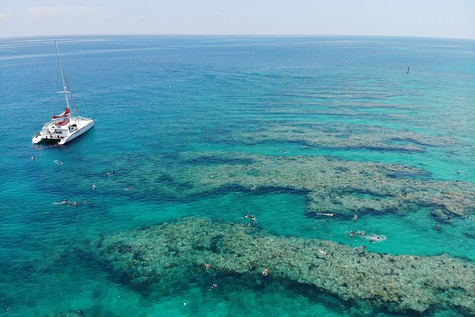 Key West Afternoon Reef Snorkeling With Open Bar - Schedule and Logistics