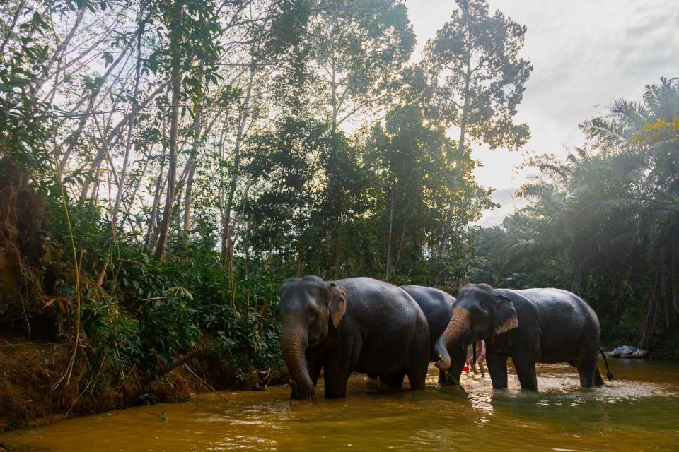 Khao Lak: 1-Hour Elephant Sanctuary Eco-Journey With Shuttle - Booking Details