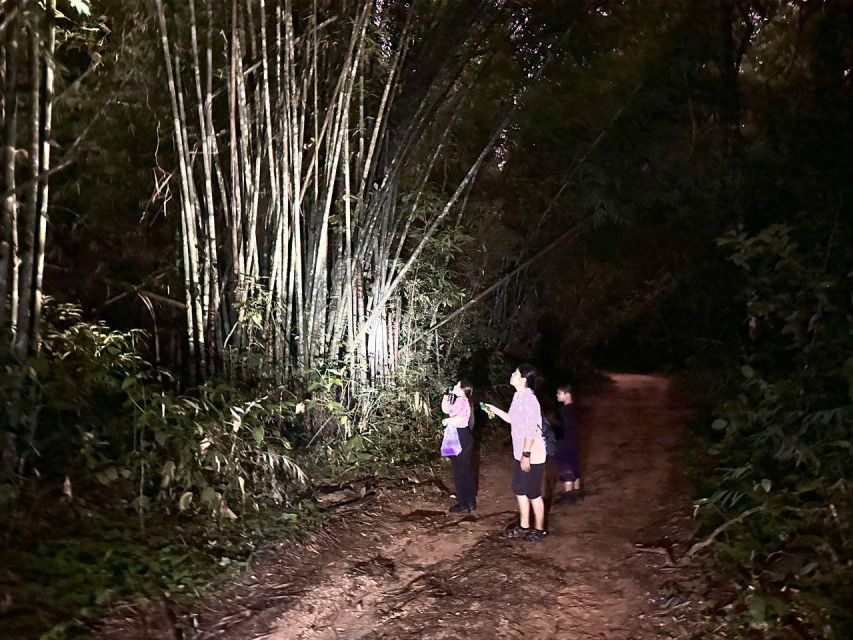 Khao Sok Jungle Sunset Wildlife Encounter & Bamboo Rafting - Booking Information