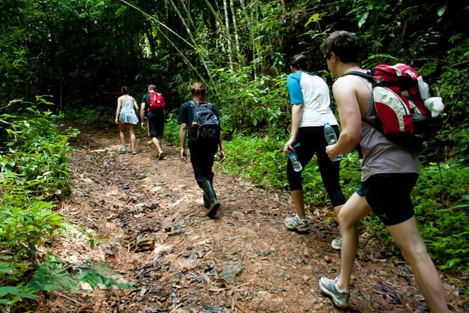 Khao Sok National Park Hiking and Canoeing Day Tour From Khao Lak - Itinerary Highlights