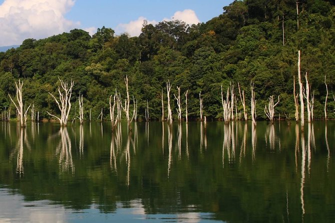 Khao Sok Wildlife 2 Days - Wildlife Encounters