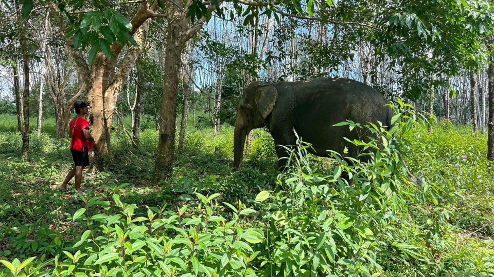 Khaolak Hightlight Jungle Trekking With Eco Guide Day Tour - Highlights