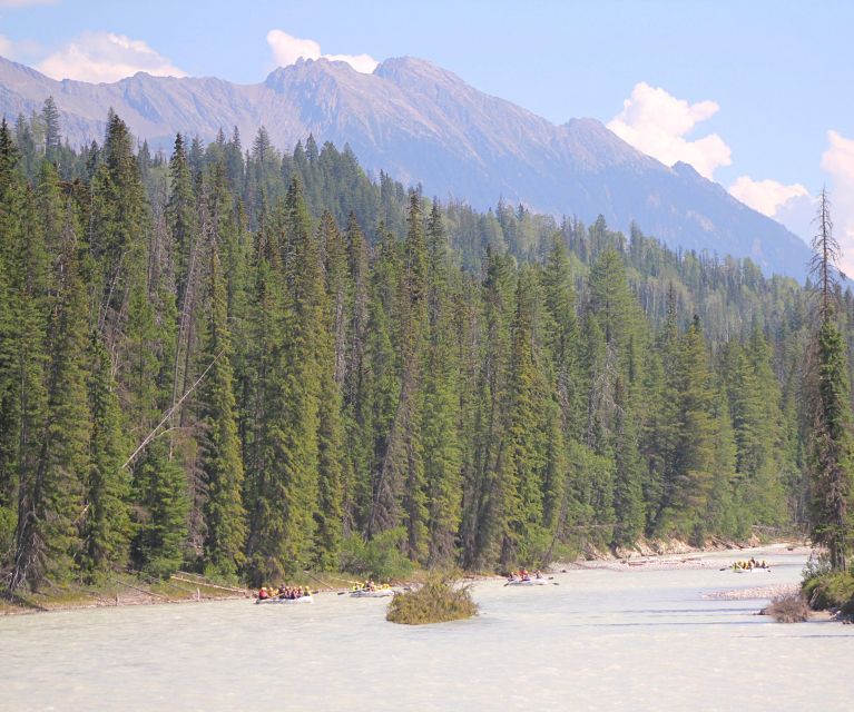 Kicking Horse River: Half-Day Intro to Whitewater Rafting - Experience Highlights