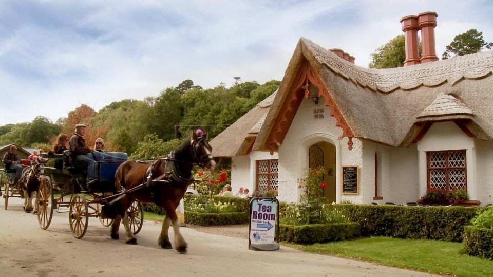 Killarney on Horse & Carriage: 1-Hour Jaunting Car Tour - Experience Highlights