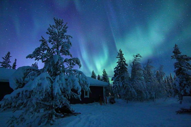 Kiruna Northern Lights Snowmobile Experience With Dinner - Booking Information