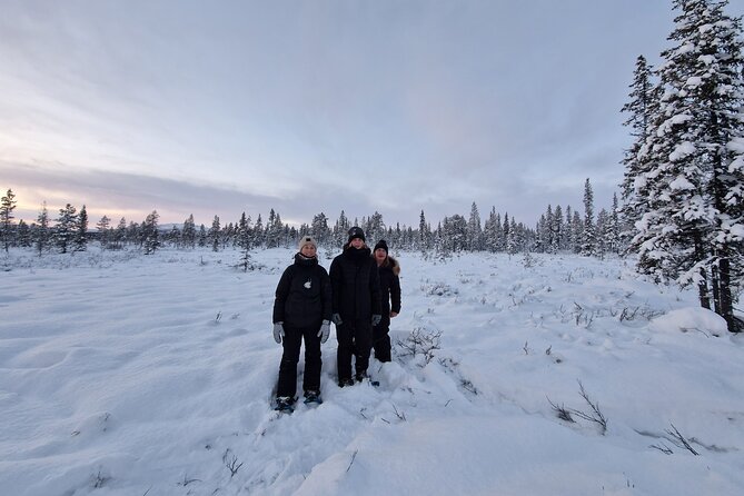 Kiruna Small-Group Snowshoe Activity - Guide Information