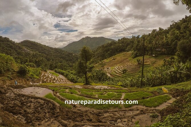 Knuckles Spice Trail Trek From Kandy - Cancellation Policy