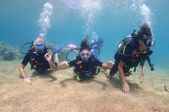 Koh Samui Discovery Scuba Dive With Lunch and Pictures  - Bophut - Inclusions and Pricing