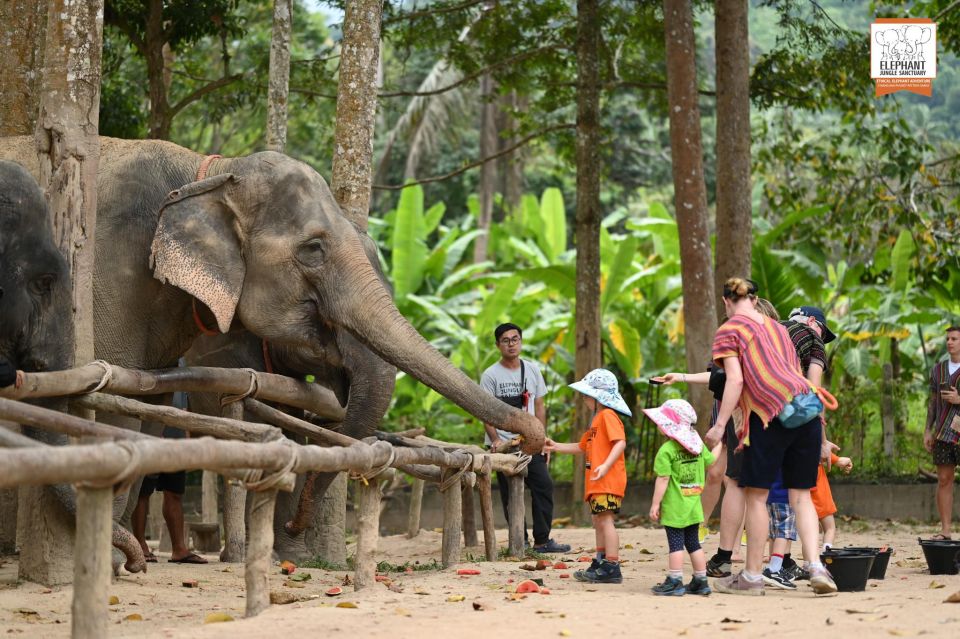 Koh Samui: Elephant Sanctuary Entry and Feeding Experience - Experience Highlights